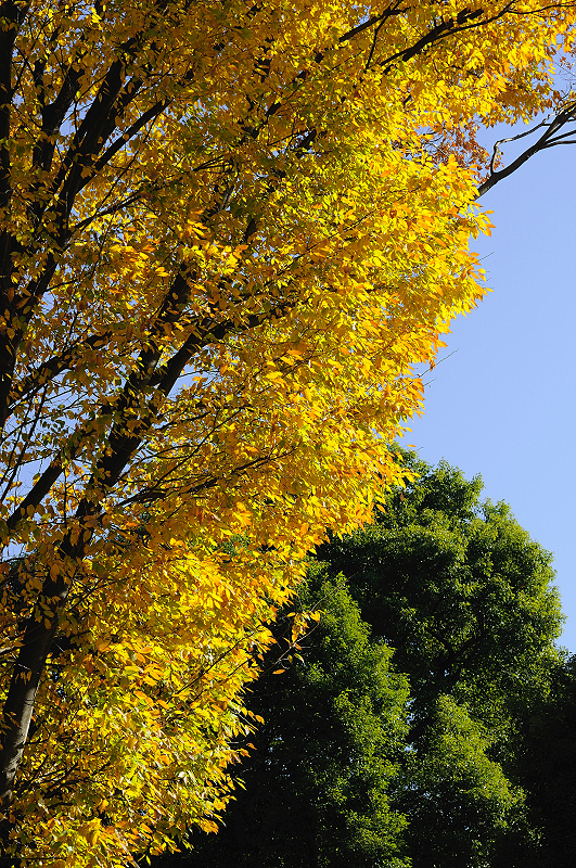 image0268