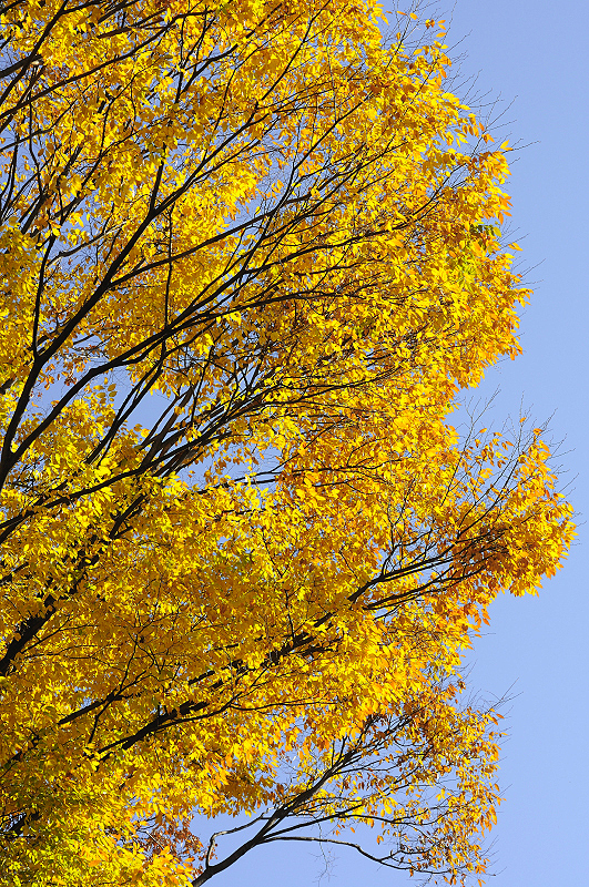 image0269