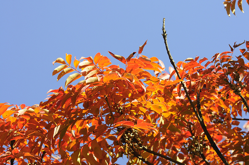 image0273