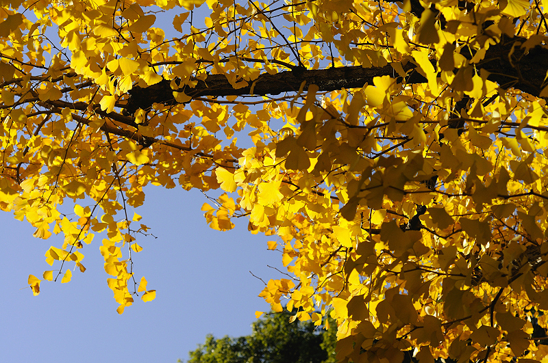 image0280
