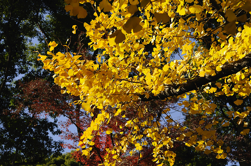 image0281