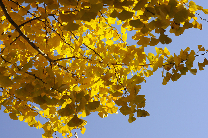image0282