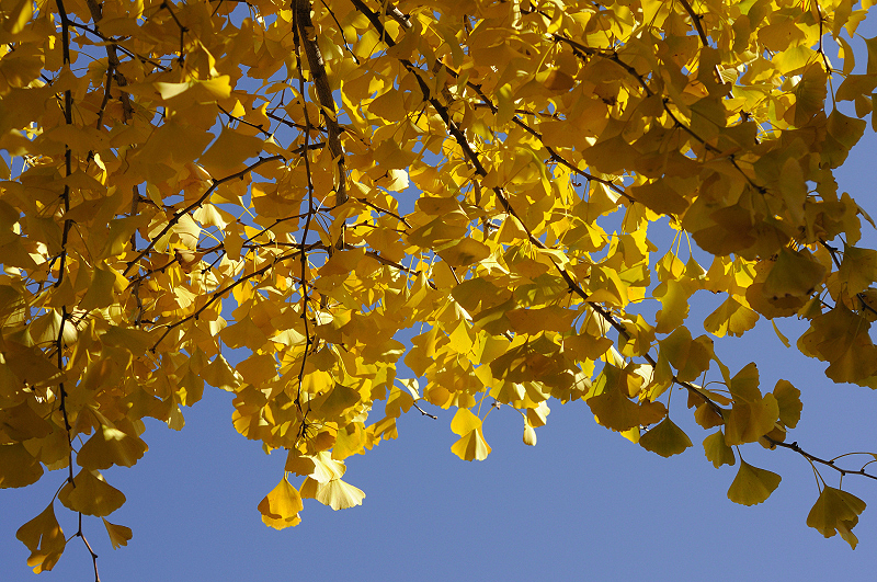 image0283