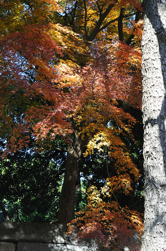 image0286