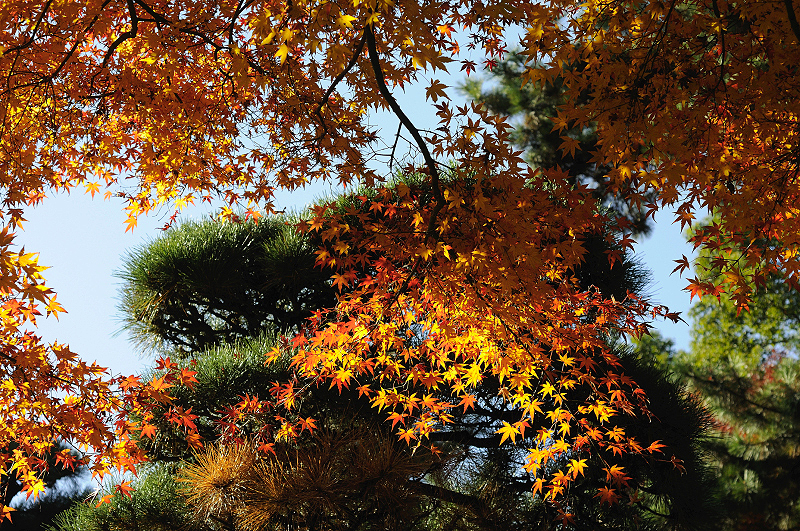 image0291