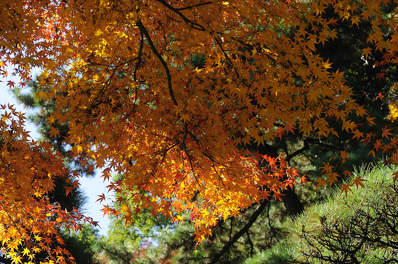 image0292
