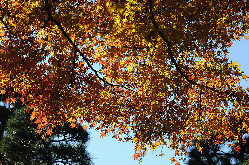 image0293