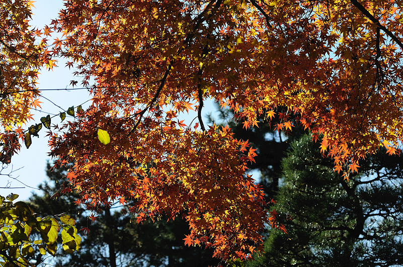 image0294