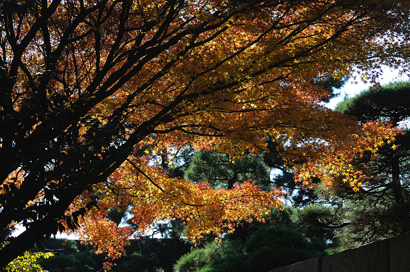 image0295