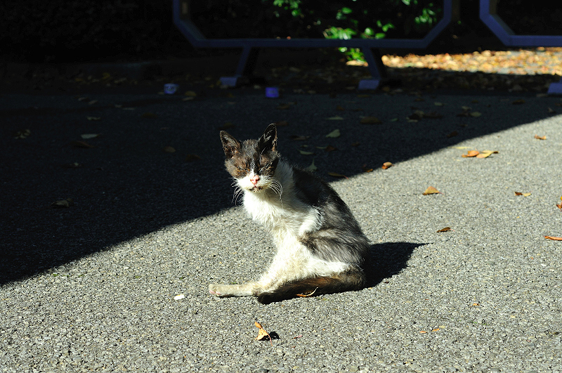 image0296