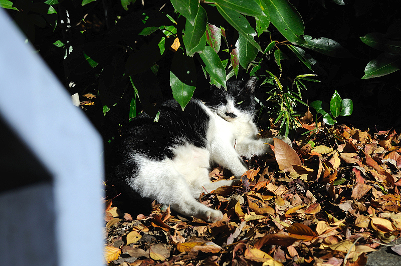 image0297