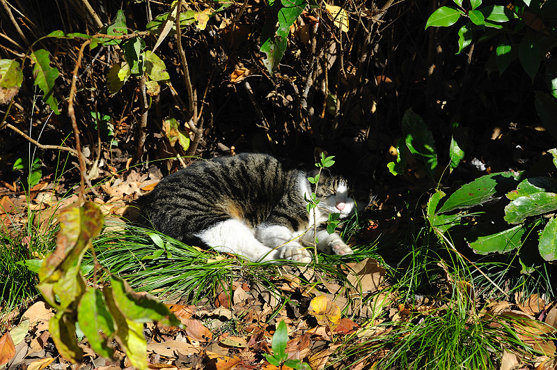 image0298