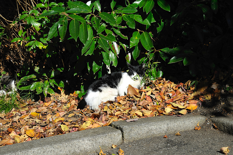 image0299