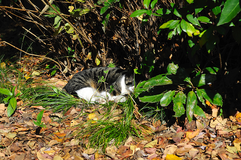 image0300