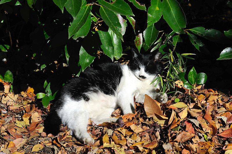 image0301