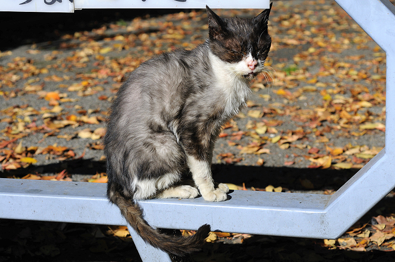 image0302