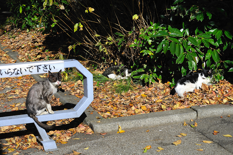 image0303
