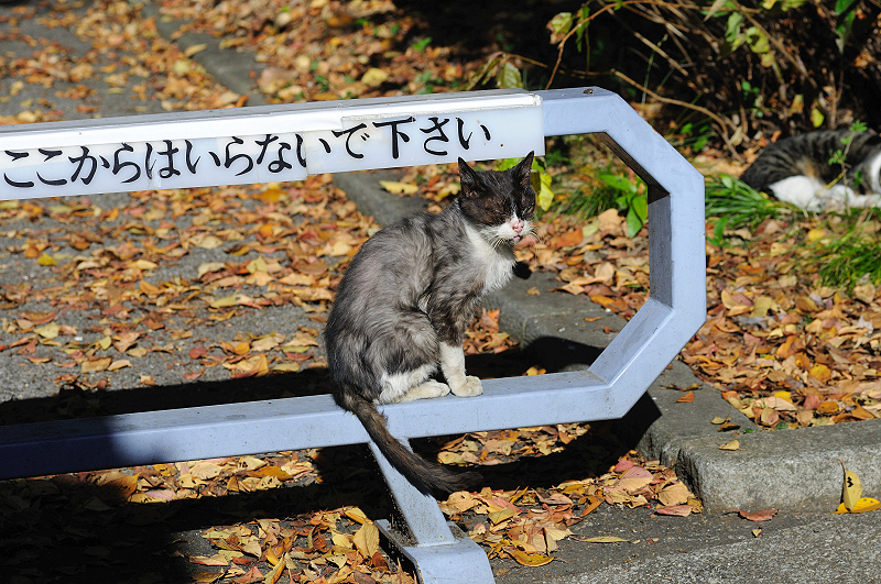 image0304
