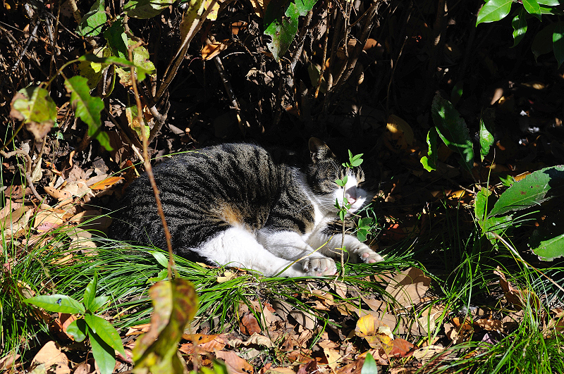 image0305