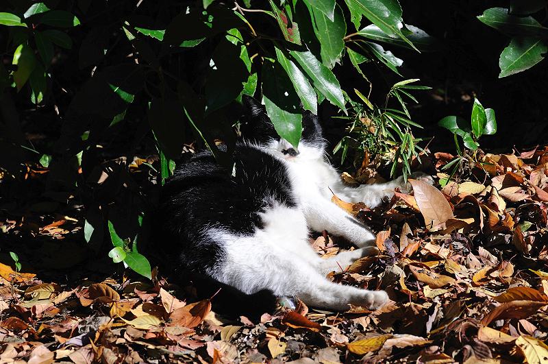 image0306