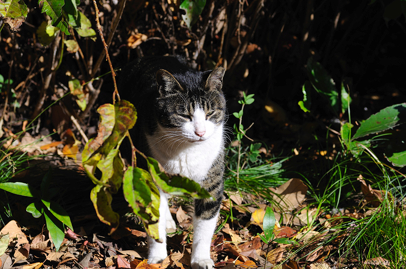 image0307