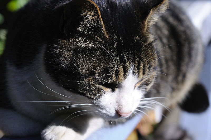 image0308