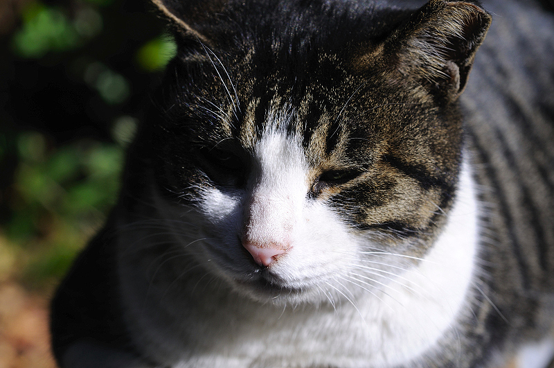image0309