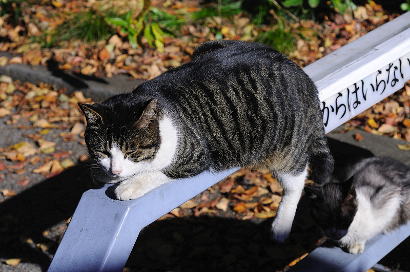 image0310