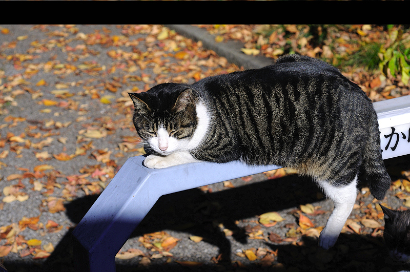 image0311