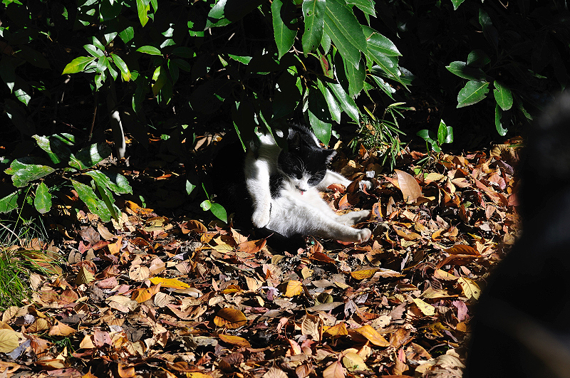 image0312