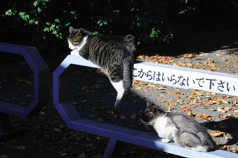 image0314