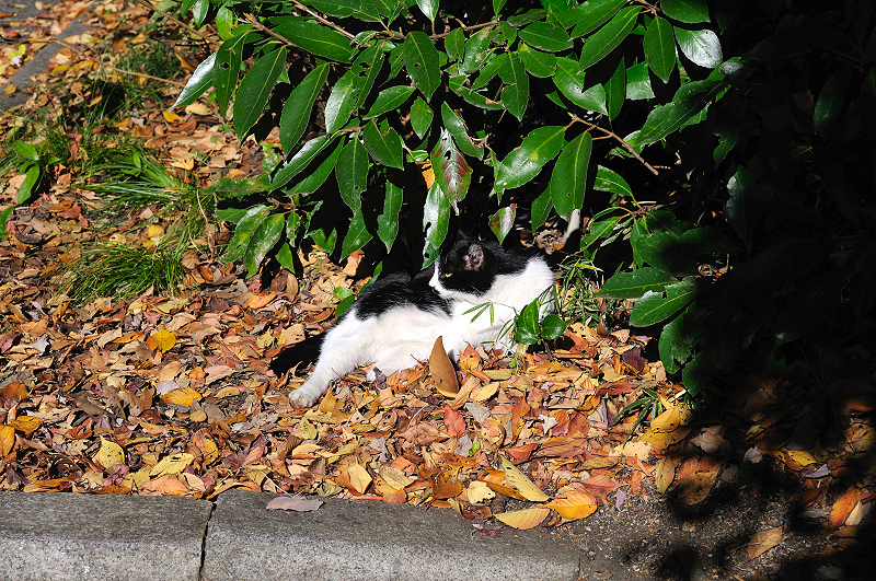 image0315
