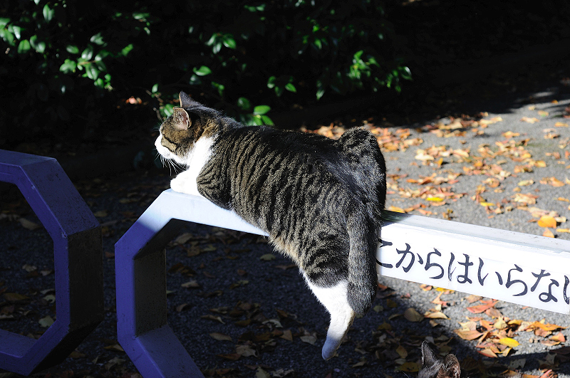 image0316