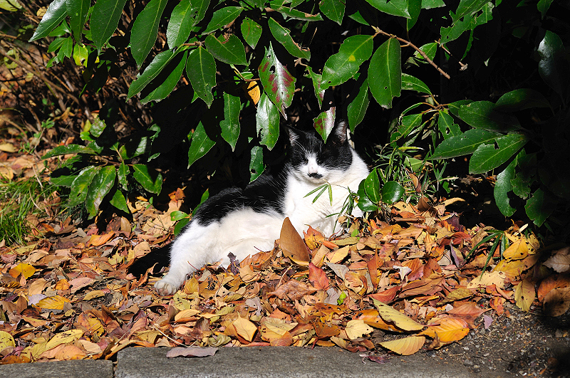 image0317