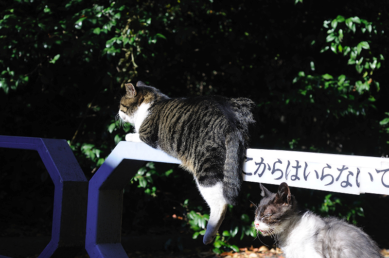 image0318