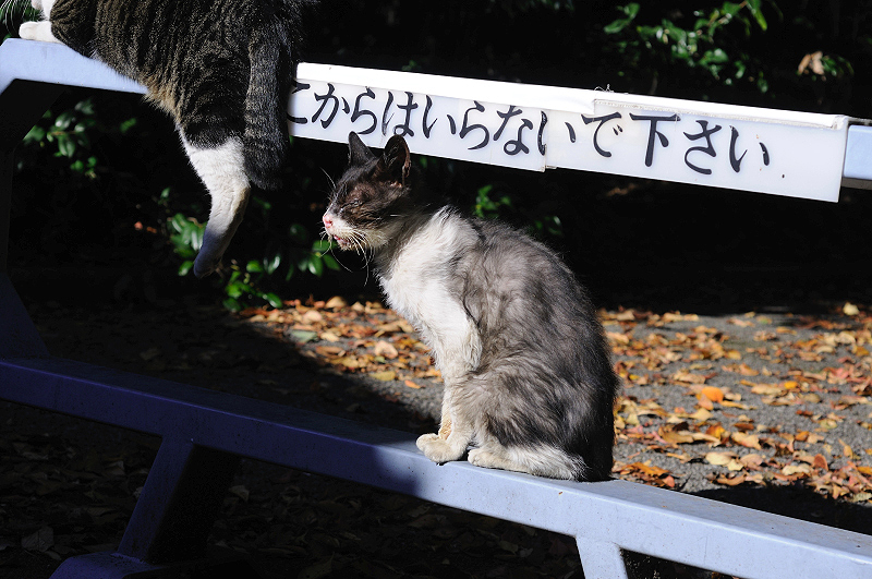 image0319