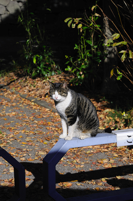 image0320