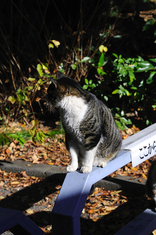 image0321