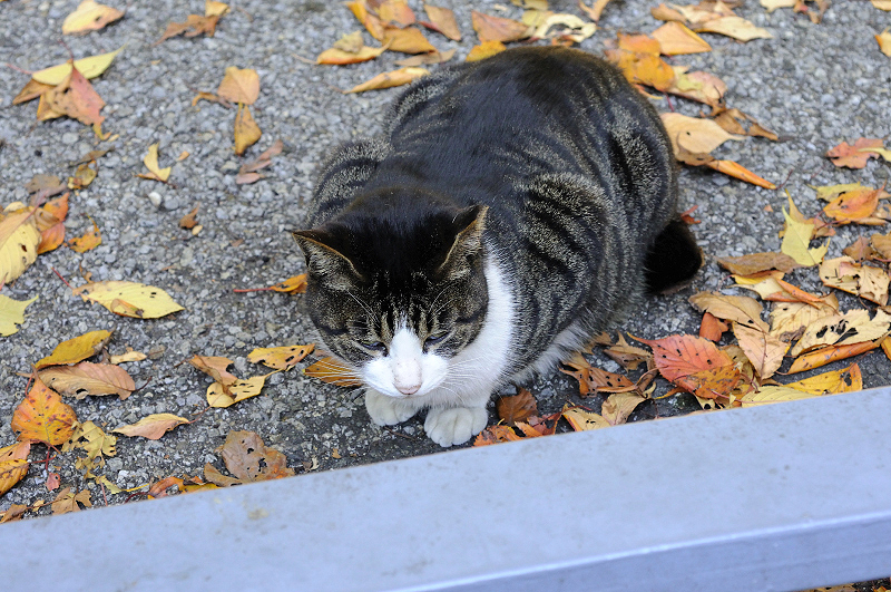 image0322