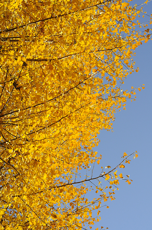 image0325