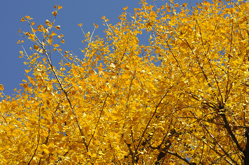 image0326