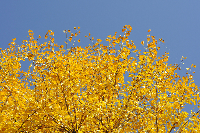 image0327