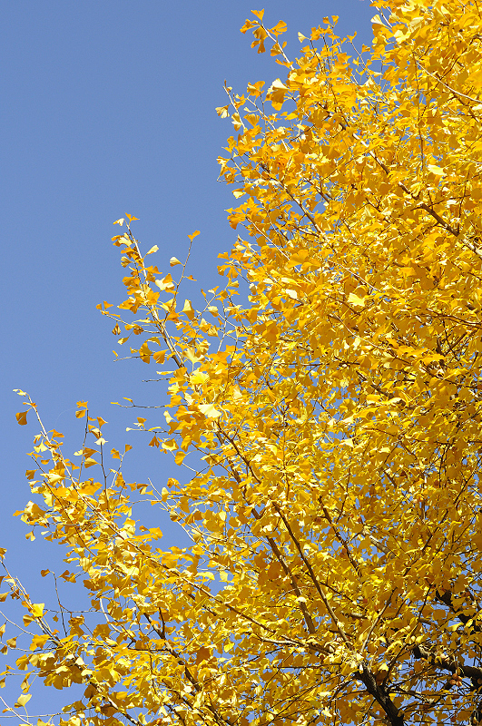 image0328