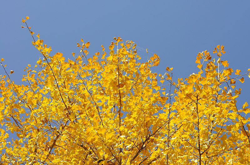 image0329