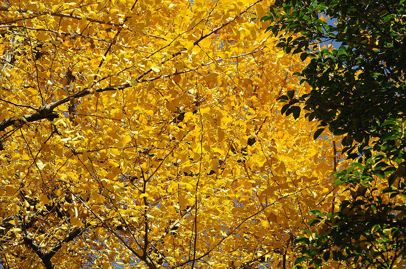 image0330