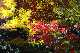 image0139