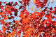 image0142