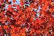 image0143
