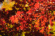 image0144