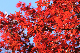 image0147